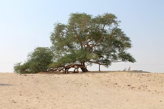 Tour image 1