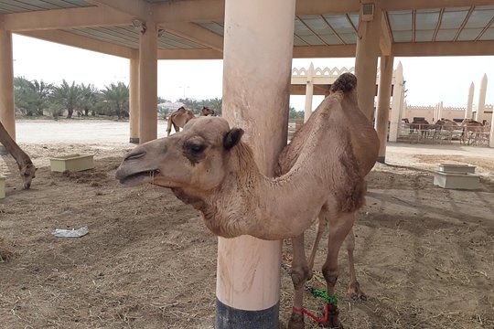 Tour image 2